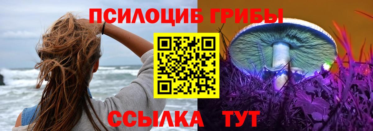 Псилоцибиновые грибы Psilocybine cubensis  Вход с VPN  Славянск-на-Кубани 